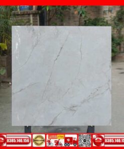 Gạch 80x80 Granite Taicera-GP88L58JW