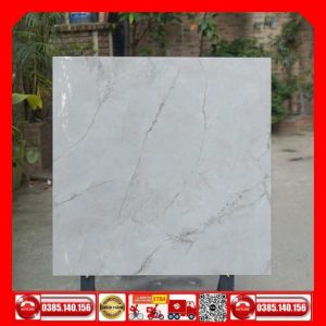 Gạch 80x80 Granite Taicera-GP88L58JW