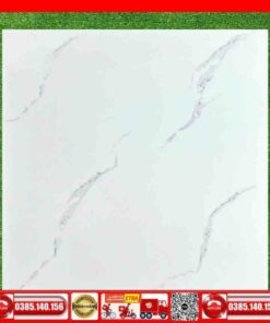 Gạch 50x50 Lát Nền 55052 Trắng Vân Xám