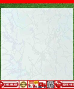 Gạch 50x50 Lát Nền 5711-55051