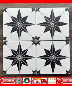 Gạch bông 30x30 cổ điển VIN123201 - Vinceramic