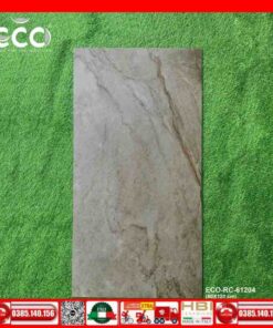 Gạch 60x120 Apodio ECO-RC61204