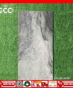 Gạch 60x120 Apodio ECO-RC61205 đá Marbal