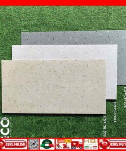 Gạch 60x120 Apodio ECO-RC61219 Terrazzo
