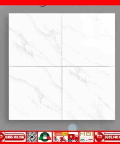 Gạch 60x60 VITTO 06264 màu trắng xám