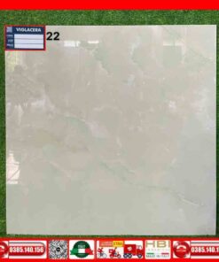Gạch 60x60 Viglacera TTH6622