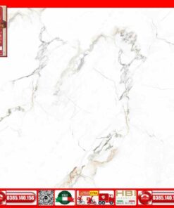 Gach 100x100 Prime 03.100100.92501