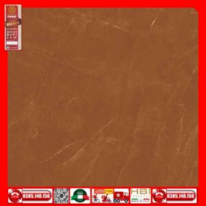 Gach 120x120 Prime 03.100100.92508