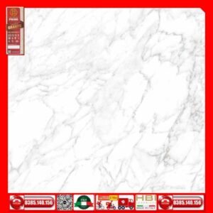 Gach 120x120 Prime 03.120120.70E00