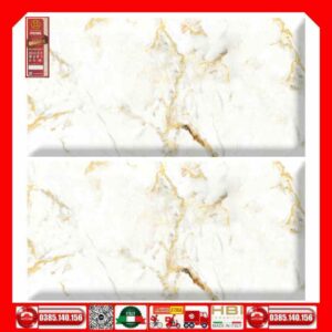 Gach-60x120-Prime-03.600120.27E85