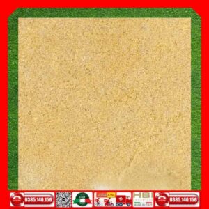 Gạch 60x60 Vinceramic VINGP677 đá hoa cương vàng
