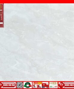 Gạch 60x60 Prime 29159