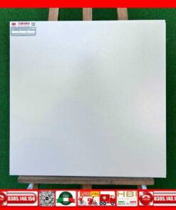 Gach-60x60-Taicera-G68034