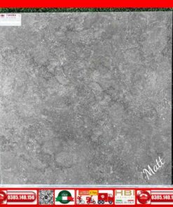 Gach-80x80-Taicera-G88P18JW