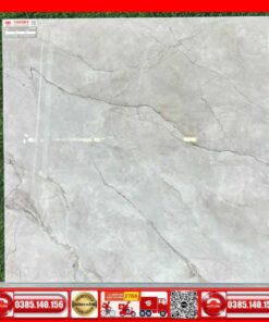 Gach 80x80 Taicera GL88L58