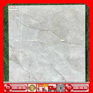 Gach 80x80 Taicera GL88L58