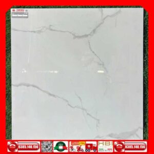 Gach 80x80 Taicera GP8808JJ