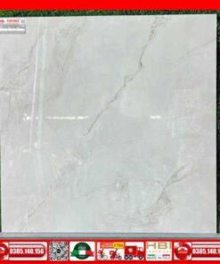 Gach 80x80 Taicera GP88L55JW