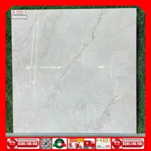 Gach 80x80 Taicera GP88L55JW
