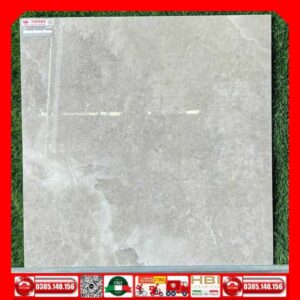 Gach 80x80 Taicera GP88L56JW