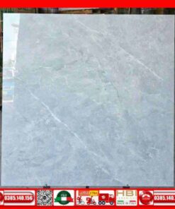 Gạch 100x100 APODIO 113002 đá xám bóng