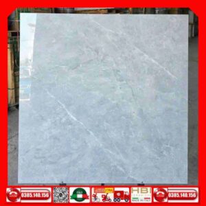 Gạch 100x100 APODIO 113002 đá xám bóng