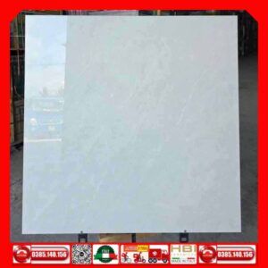 Gạch 100x100 APODIO 113006