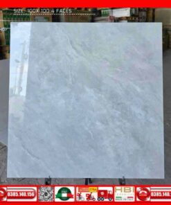 Gạch 100x100 UNIS-UN10-005F