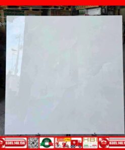 Gạch 100x100 UNIS-UN10-008F