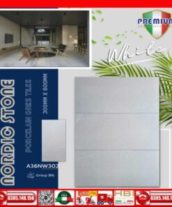 Gạch 30x60 Apodio A36NW302 Xám nhạt