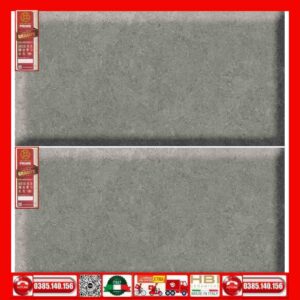 Gạch 30x60 Pime 03.300600.25004