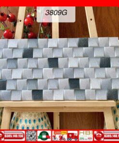Gạch 30x60 Trang Trí India-3809G