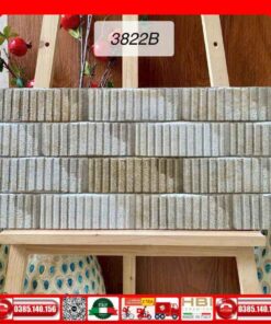 Gạch 30x60 Trang Trí India-3822B