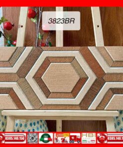 Gạch 30x60 Trang Trí India-3823BR