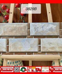 Gạch 30x60 Trang Trí India-3829B
