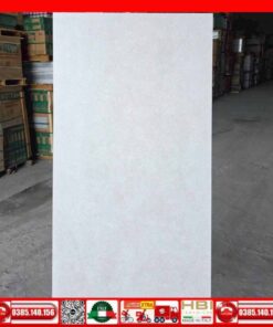Gạch 60x120 Apodio A6108301 xám mờ mịn