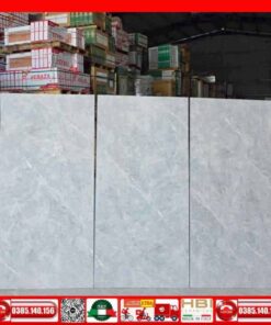 Gạch 60x120 Apodio A6108802 đá xám