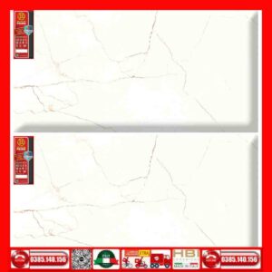 Gạch 60x120 Prime 03.600120.20800