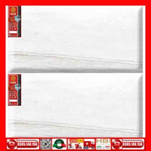 Gạch 60x120 Prime 03.600120.20804
