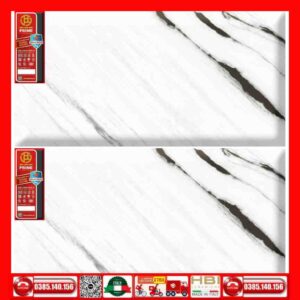 Gạch 60x120 Prime 03.600120.20812 trắng đen Panda