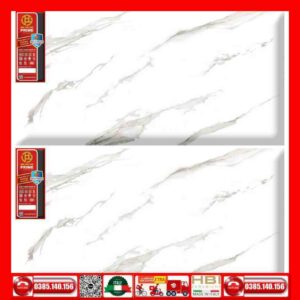 Gạch 60x120 Prime 27E91
