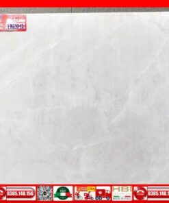 Gạch 60x60 Ý Mỹ EN69012 Mây Xám
