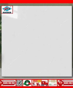 Gạch 60x60 Ý Mỹ P68134R