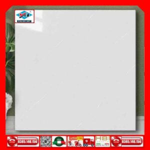 Gạch 60x60 Ý Mỹ P68134R