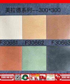 Gạch bông 30x30 cổ điển F30664-F30665-F30666