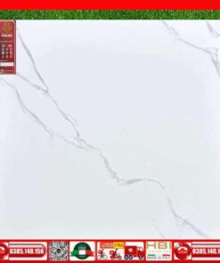 Gạch 60x60 PRIME KTS579-15579