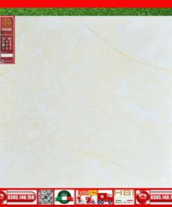 Gạch 60x60 PRIME KTS581-15581
