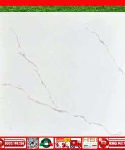 Gạch 60x60 Vinceramic TPN665 trắng vân xám