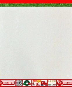 Gạch 60x60 Vinceramic TPN666 kem bóng