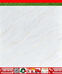 Gạch 60x60 Vinceramic TPN667